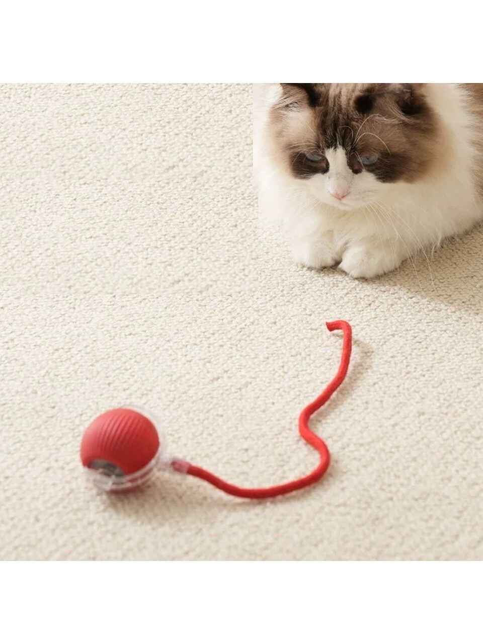 Kedi Köpek Için Kendinden Hareketli, Şarjlı ve 360 Derece Dönen Interaktif Akıllı Oyun Topu