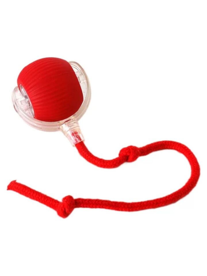 Kedi Köpek Için Kendinden Hareketli, Şarjlı ve 360 Derece Dönen Interaktif Akıllı Oyun Topu